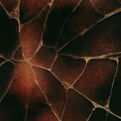 Broken Pieces