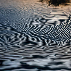 Ripples of Water