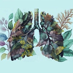 Exercício para uma respiração consciente