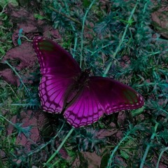 07 (PROD.CALLABEATS)