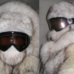 037k files (⌒-⌒; )