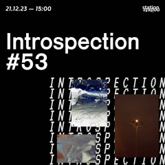 Introspection #53