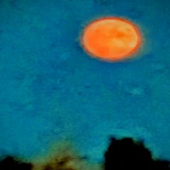 petrified disassociation