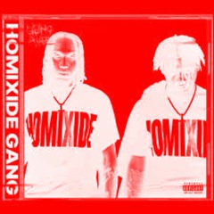 Homixide Gang - V-Friends  (slowed + reverb)