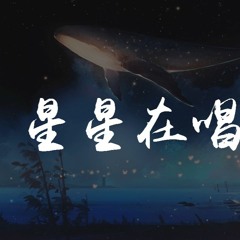 CMJ - 星星在唱歌（純音樂）【動態歌詞/pīn yīn gē cí】