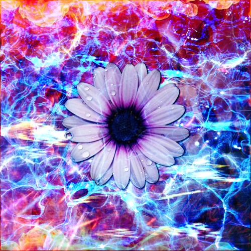 No Way [Natsu Fuji x KaijuDaDon]