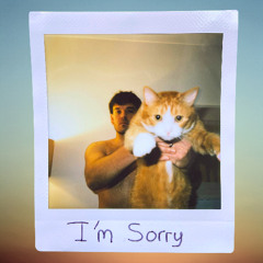 I'm Sorry