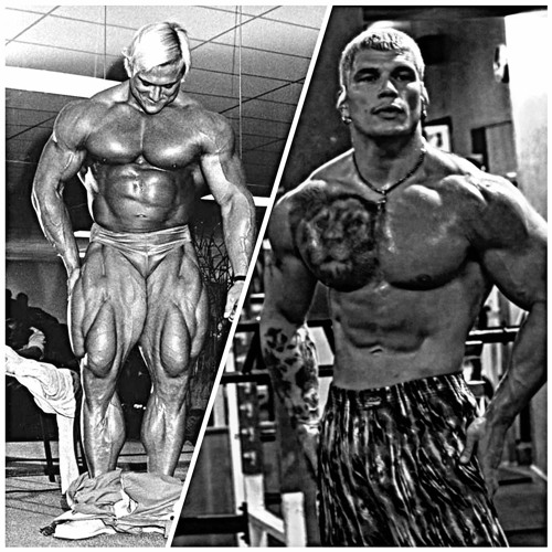 TOM PLATZ X SHIZZY X MEMORY REBOOT