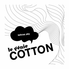Le Génie Cotton 1 - Présentation du Parcours Identités Visuelles