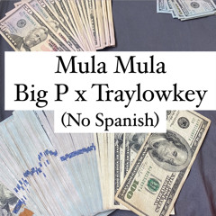mula mula (no spanish) ft Traylowkey