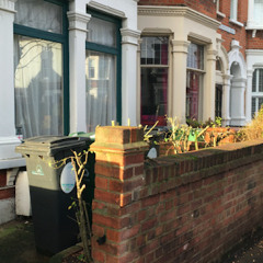 English country garden idea 1.m4a