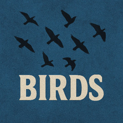 Birds Set