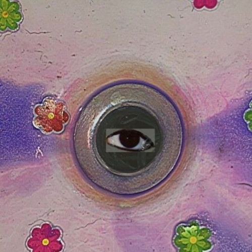 Stream My Bologna (2022 Version) by peter Listen online for free on