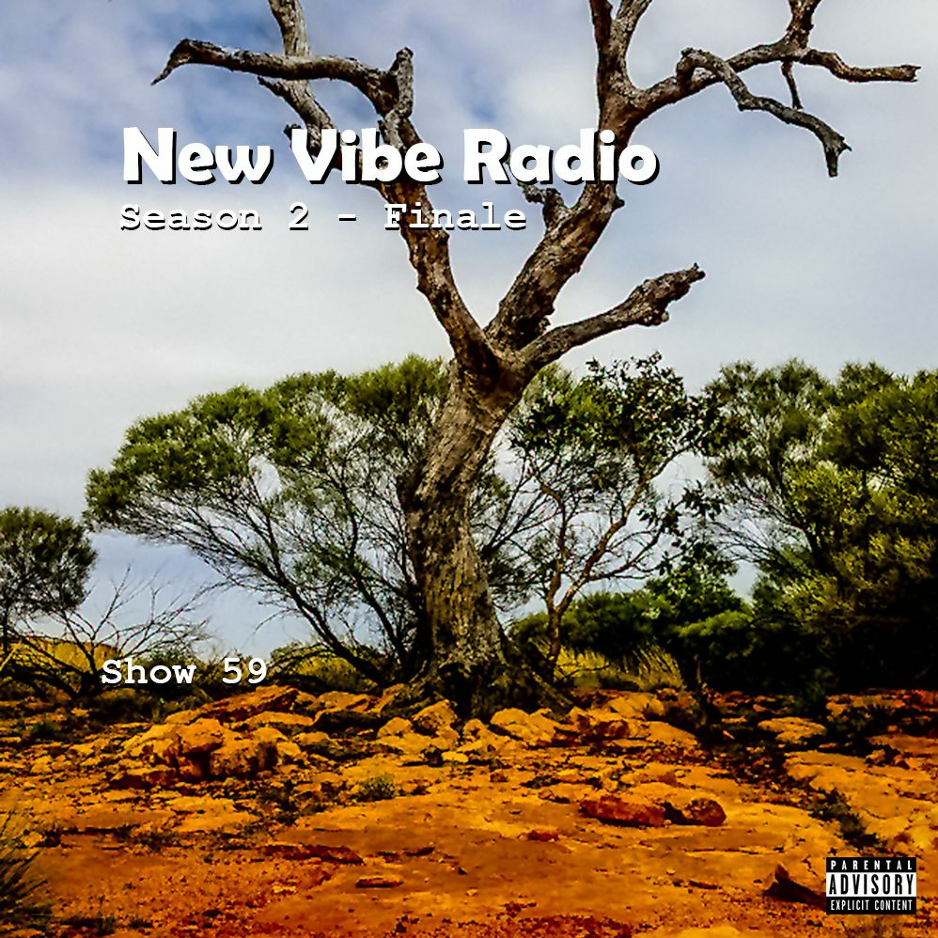 New Vibe Radio