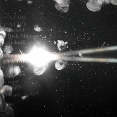 venicecruise 2024 snippet