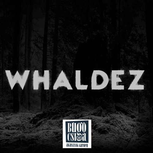 Whaldez - Absztrakt Szerda, Búgócsiga Akusztik Garden/Sopron, HU 2020.09.02./124BPM