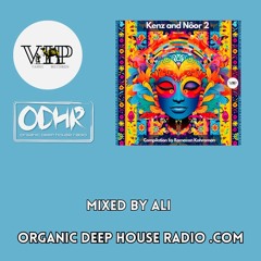 (Organic Deep House Radio)MIXED BY 𝐃𝐉 𝐀𝐋𝐢 (Camelvip) Part.2