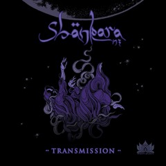 Sub.conscious - Qualia Ft. Piscean (Shankara NZ Remix)
