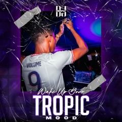DJ ZERFLY - Wake Up Your Tropic Mood Vol.9