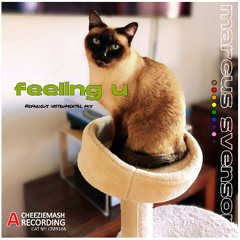 Marcus Svensor - Feeling U [Nefarious HD Instrumental]