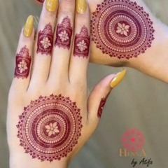 Elsen_Pro_-_Tenha_Geceler_(Tiktok_Remix)(128k).m4a