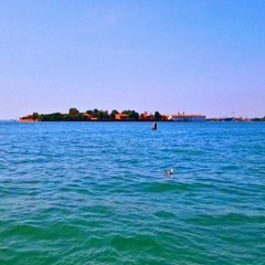 Venice Beach - Moritz Michelson