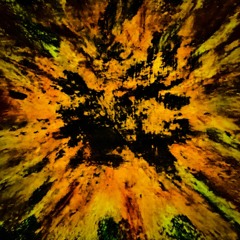 Mystovski/Pasiekarz - Przestrzeń