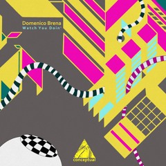 PREMIERE: Domenico Brena - Watch You Doin' [CPLTD330]