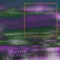 OCELOTE (VIATOR Remix)