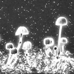 reflective mushrooms