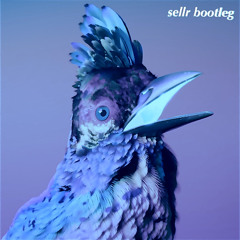 Say Nothing (sellr Bootleg)