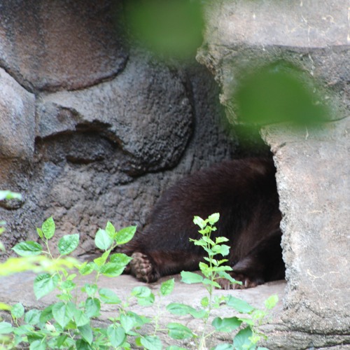 HIBERNATE OG (prod. d4oy)