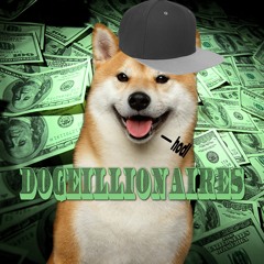 Dogeillionaires