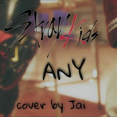 STRAY KIDS (스트레이 키즈) - "아니 (Any)" (Jai Cover)