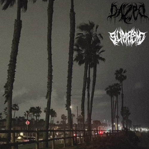 GRAVEYARD PUNK$ (feat. $LIMFIEND)