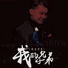 VDP - 我的好兄弟 Wo De Hao Xiong Di [Wayve] +10% Prev