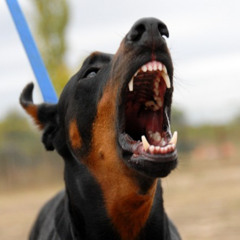 хардстайл для кончених деганів (Бонус трек)