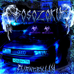 BOSOZOKU (ON ALL THE PLATEFORMS)
