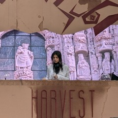 Sarah ka Sara Harvest 2025 sunset