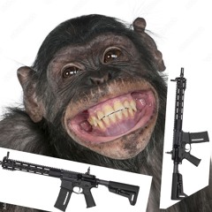 Mokies Wit Gunz