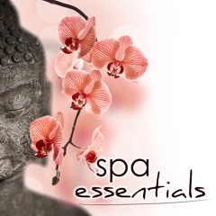 Inspiration (Relaxing Soothing Sounds)