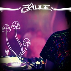 BASSMANIA X MOLLYWOOD - Sputnikhalle 13.12.2024 - Psytrance Opening