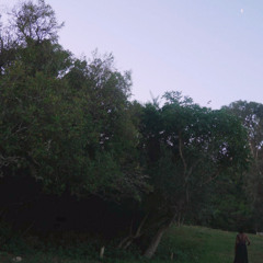 desire . peace (REGGIE X w/ NOLITHA)