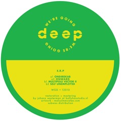 E.R.P. - WGD 12010 (WGD 12010)