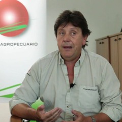 Marcelo Pereira - Pasturas