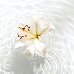 Mystic Bliss  | Chilled Organic House