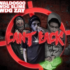 WDG Slime x WDG Zay x Waldo 600 Can’t lack