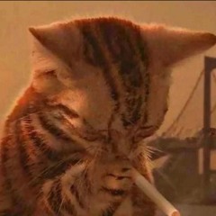 A Night On Planet Namek