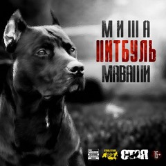 Русская История Х