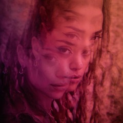 Curiosities 005 by Cici